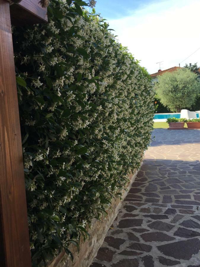 ルッカ Casa Pietra Del Soleヴィラ エクステリア 写真